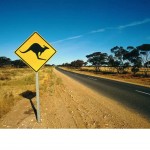 Off to tie me kangaroo down