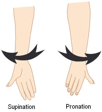 Supination-pronation